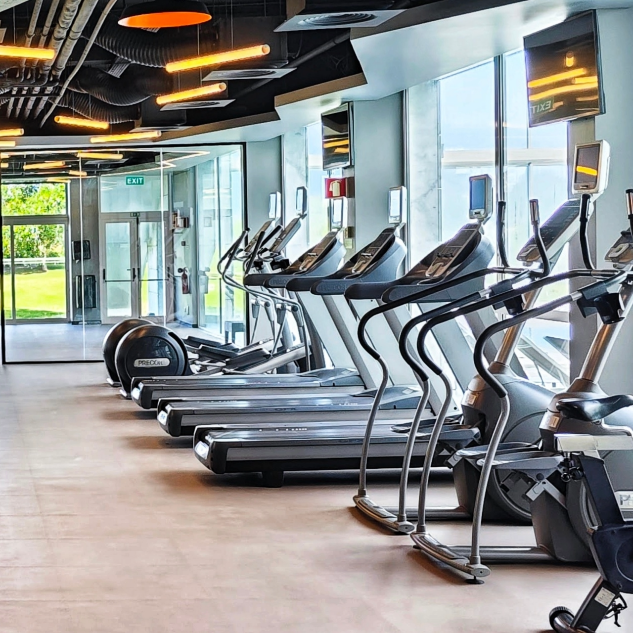 dynamic Snapshots of Fitness Space