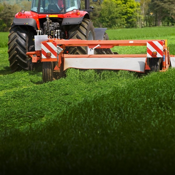 Tractor equipped with a flail mower powered by a heavy-duty V-belt effectively cutting grass in various terrain conditions.